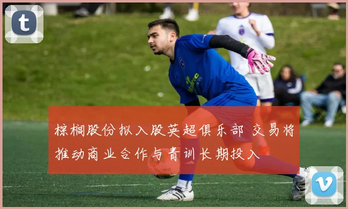 棕榈股份拟入股英超俱乐部 交易将推动商业合作与青训长期投入